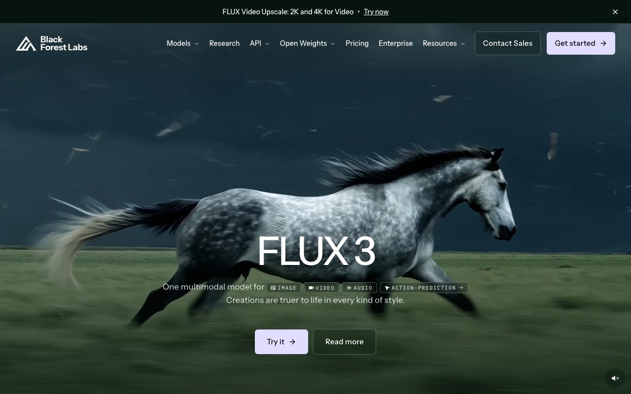 Flux by Black Forest Labs homepage screenshot captured 2026-09-08